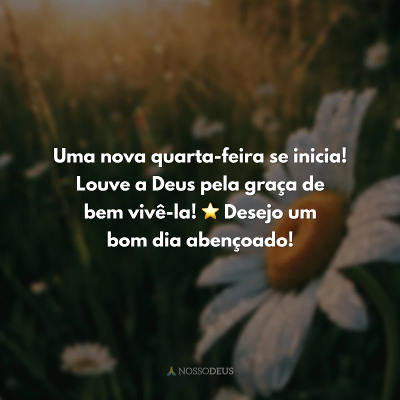 Bom dia, quarta-feira abençoada: 30 frases para impulsionar sua fé